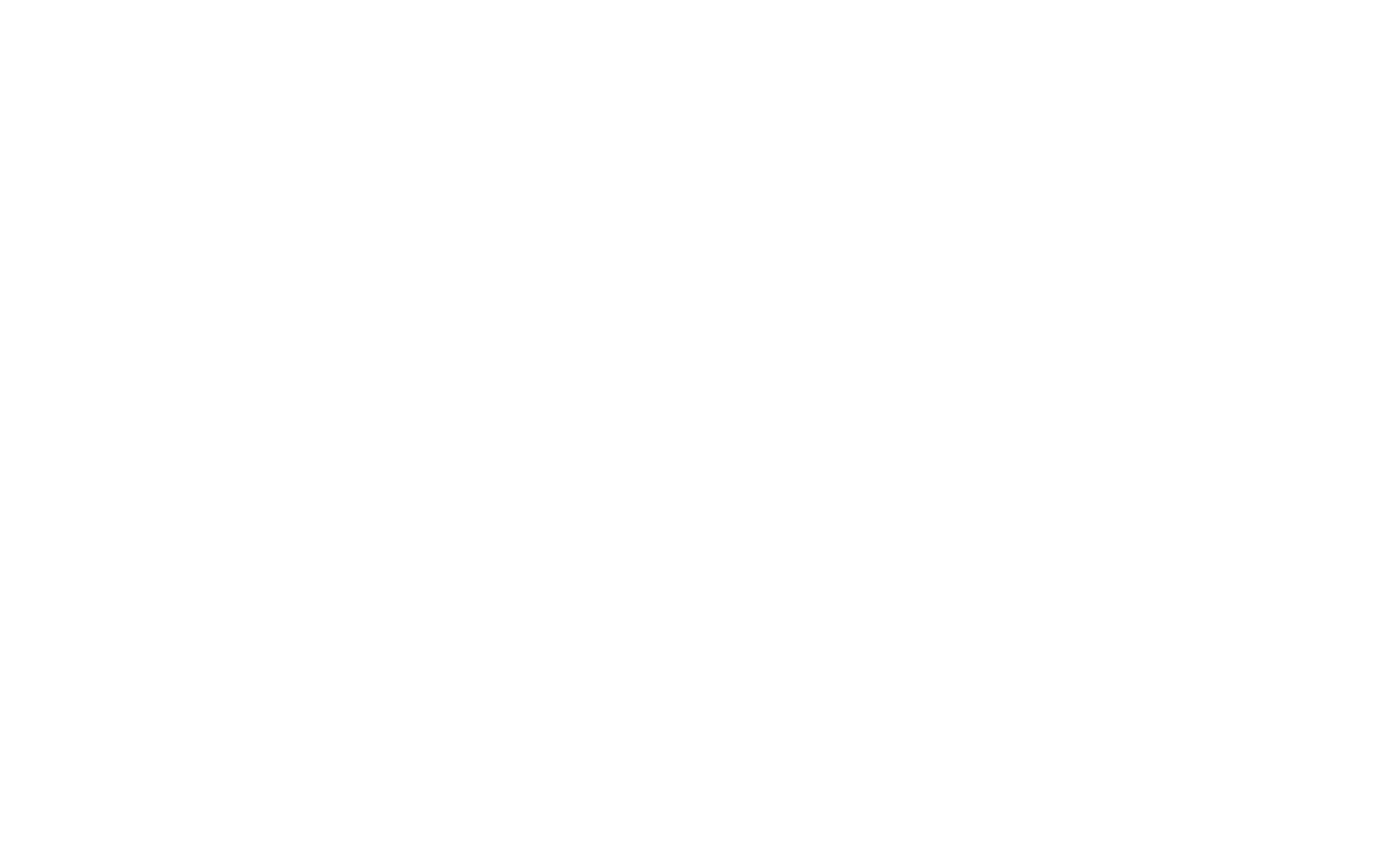 Orbit Ally